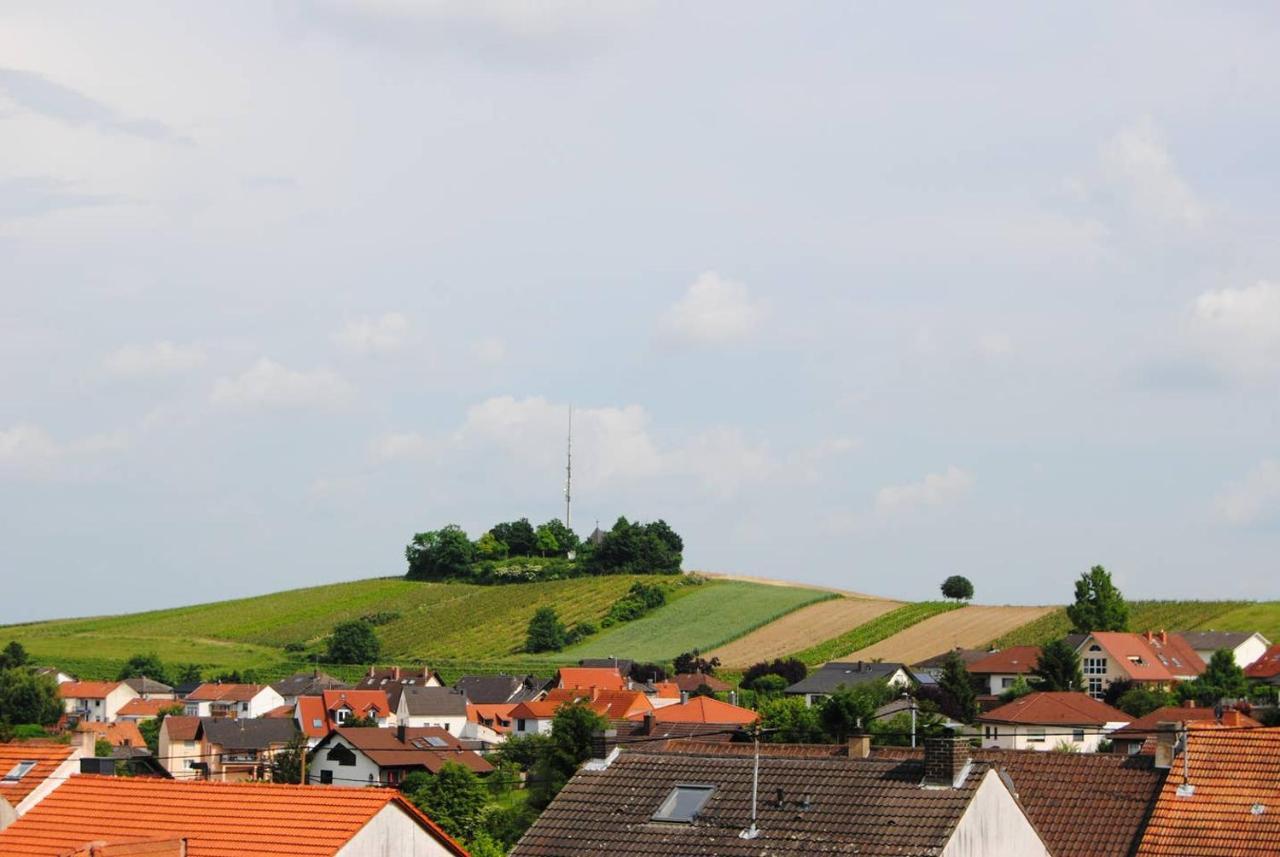 Ferienwohnung Kirchbergblick Hackenheim ภายนอก รูปภาพ